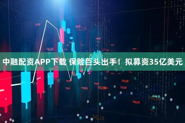 中融配资APP下载 保险巨头出手！拟募资35亿美元