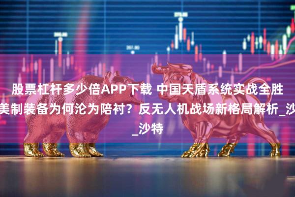 股票杠杆多少倍APP下载 中国天盾系统实战全胜，美制装备为何沦为陪衬？反无人机战场新格局解析_沙特