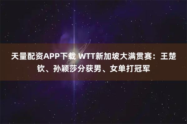 天量配资APP下载 WTT新加坡大满贯赛：王楚钦、孙颖莎分获男、女单打冠军