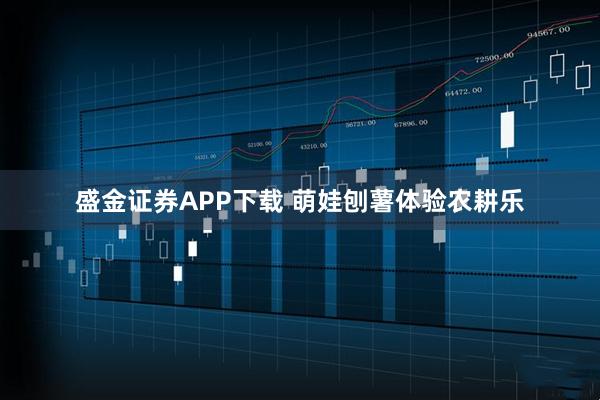 盛金证券APP下载 萌娃刨薯体验农耕乐